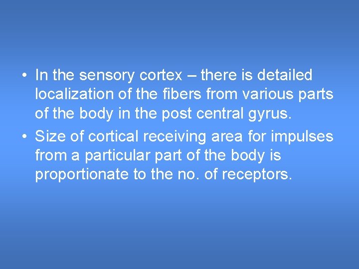 • In the sensory cortex – there is detailed localization of the fibers • In the sensory cortex – there is detailed localization of the fibers