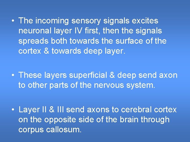 • The incoming sensory signals excites neuronal layer IV first, then the signals • The incoming sensory signals excites neuronal layer IV first, then the signals