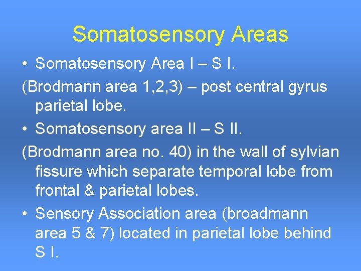 Somatosensory Areas • Somatosensory Area I – S I. (Brodmann area 1, 2, 3) Somatosensory Areas • Somatosensory Area I – S I. (Brodmann area 1, 2, 3)