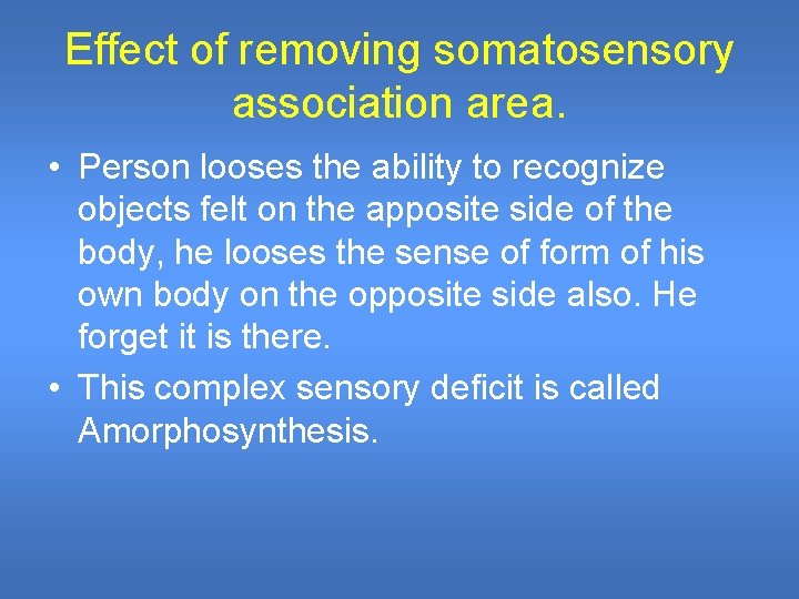 Effect of removing somatosensory association area. • Person looses the ability to recognize objects Effect of removing somatosensory association area. • Person looses the ability to recognize objects