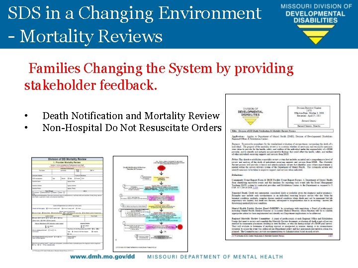 SDS in a Changing Environment - Mortality Reviews Families Changing the System by providing