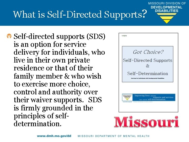 What is Self-Directed Supports? Self-directed supports (SDS) is an option for service delivery for