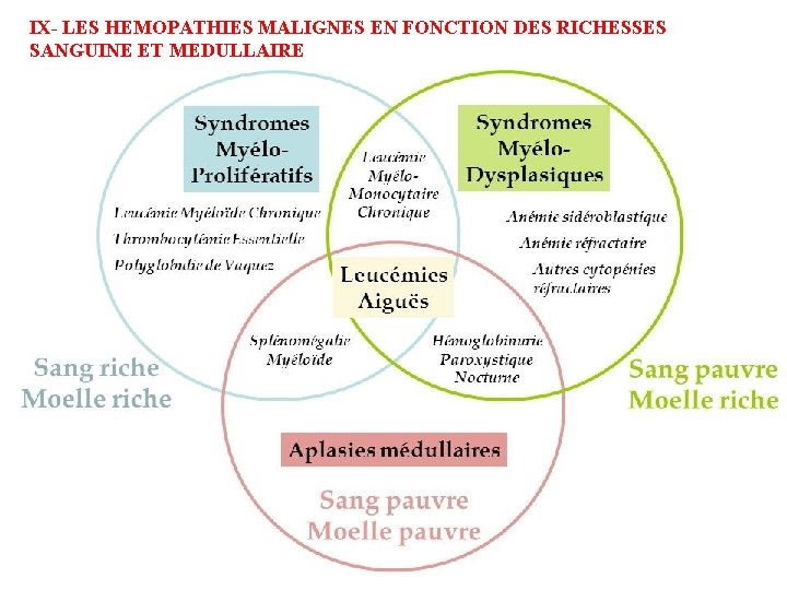 IV- LES HEMOPATHIES MALIGNES IX- LES HEMOPATHIES MALIGNES EN FONCTION DES RICHESSES Moelle osseuse IV- LES HEMOPATHIES MALIGNES IX- LES HEMOPATHIES MALIGNES EN FONCTION DES RICHESSES Moelle osseuse
