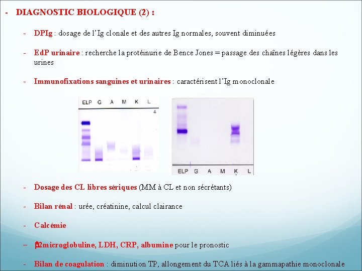 - DIAGNOSTIC BIOLOGIQUE (2) : - DPIg : dosage de l’Ig clonale et des - DIAGNOSTIC BIOLOGIQUE (2) : - DPIg : dosage de l’Ig clonale et des