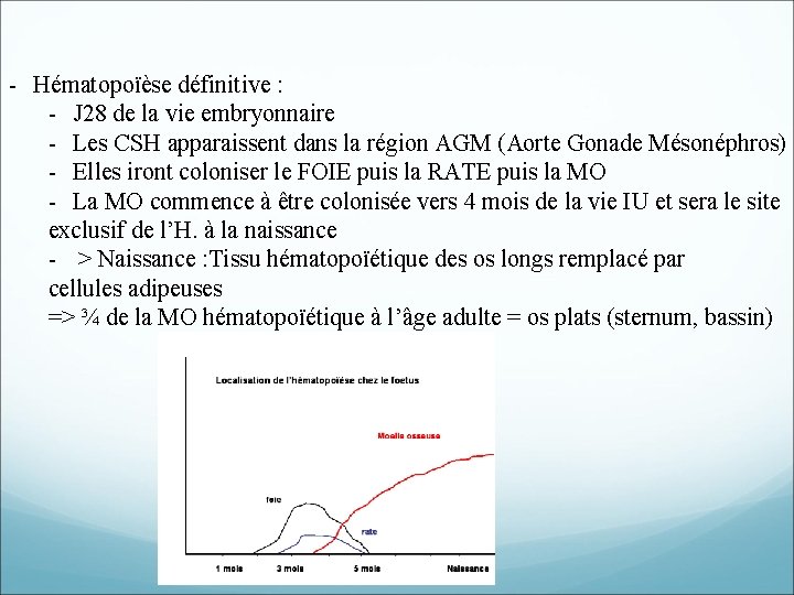 - Hématopoïèse définitive : - J 28 de la vie embryonnaire - Les CSH - Hématopoïèse définitive : - J 28 de la vie embryonnaire - Les CSH