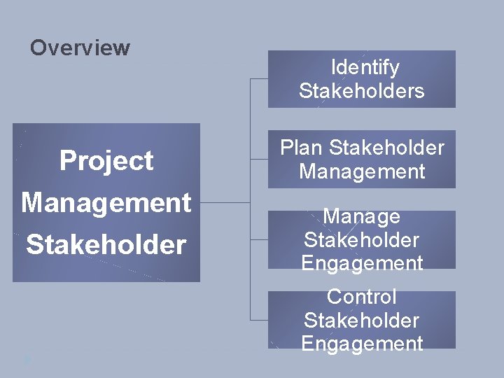 Overview Project Management Stakeholder Identify Stakeholders Plan Stakeholder Management Manage Stakeholder Engagement Control Stakeholder