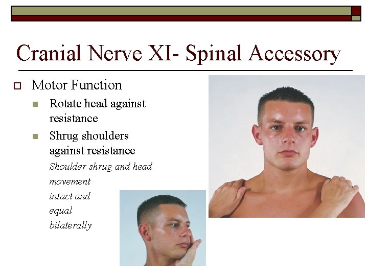 Cranial Nerve XI- Spinal Accessory o Motor Function n n Rotate head against resistance