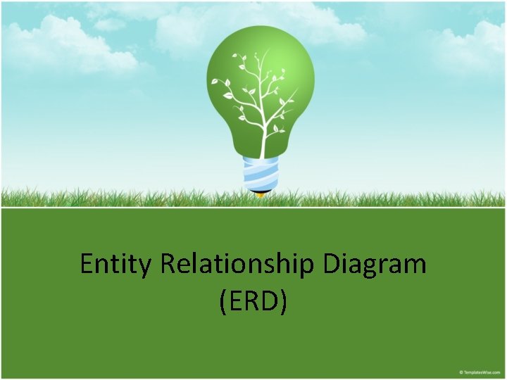 Entity Relationship Diagram (ERD) 