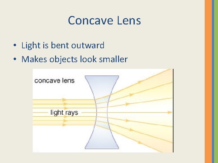 Concave Lens • Light is bent outward • Makes objects look smaller 