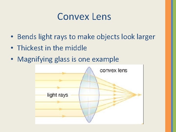 Convex Lens • Bends light rays to make objects look larger • Thickest in Convex Lens • Bends light rays to make objects look larger • Thickest in