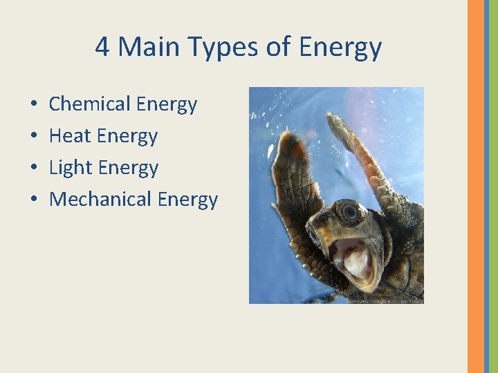 4 Main Types of Energy • • Chemical Energy Heat Energy Light Energy Mechanical