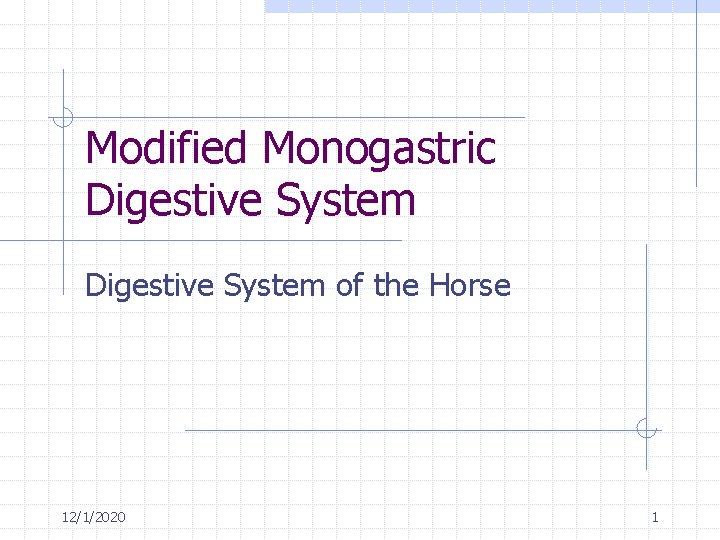 Modified Monogastric Digestive System of the Horse 1212020