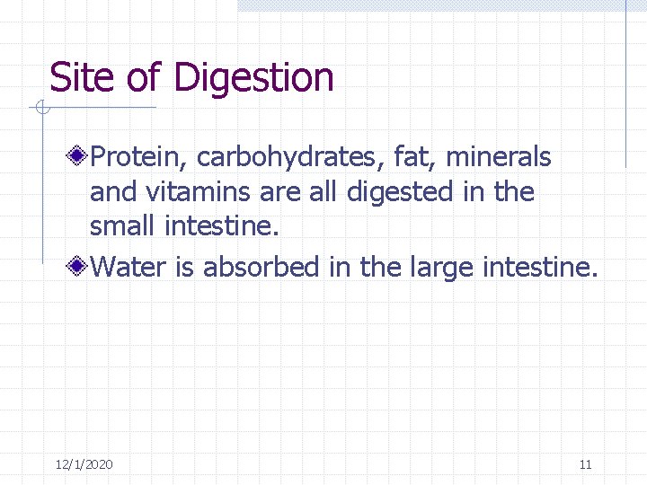 Site of Digestion Protein, carbohydrates, fat, minerals and vitamins are all digested in the