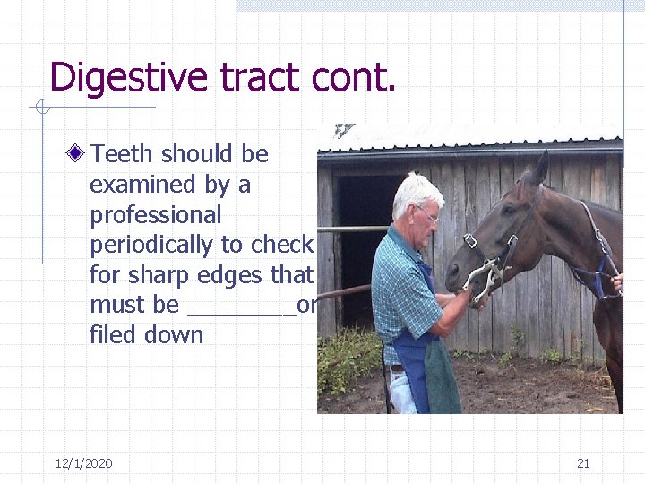 Digestive tract cont. Teeth should be examined by a professional periodically to check for