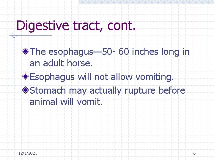 Digestive tract, cont. The esophagus— 50 - 60 inches long in an adult horse.