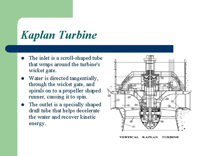 Kaplan Turbine l l l The inlet is a scroll-shaped tube that wraps around
