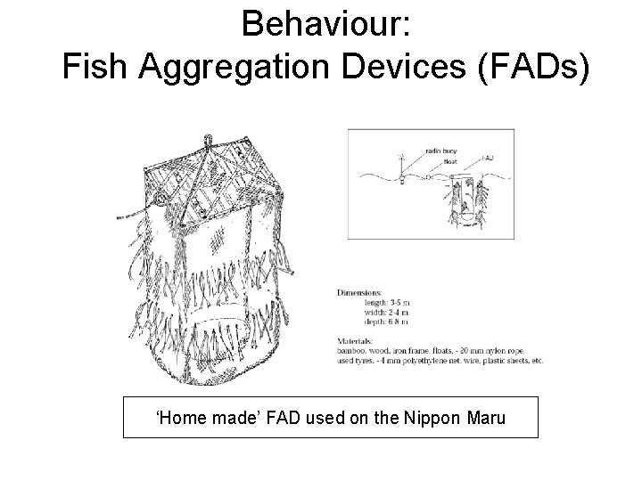Behaviour: Fish Aggregation Devices (FADs) ‘Home made’ FAD used on the Nippon Maru 