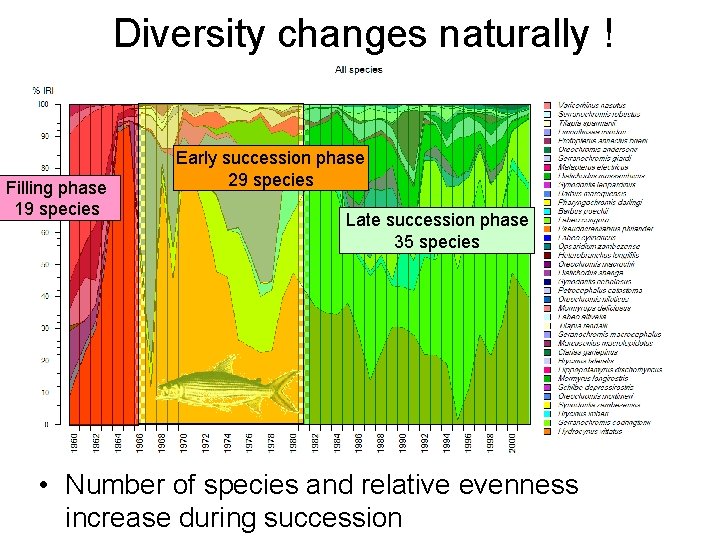 Diversity changes naturally ! Filling phase 19 species Early succession phase 29 species Late