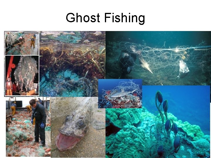 Ghost Fishing 