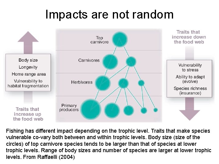 Impacts are not random Fishing has different impact depending on the trophic level. Traits