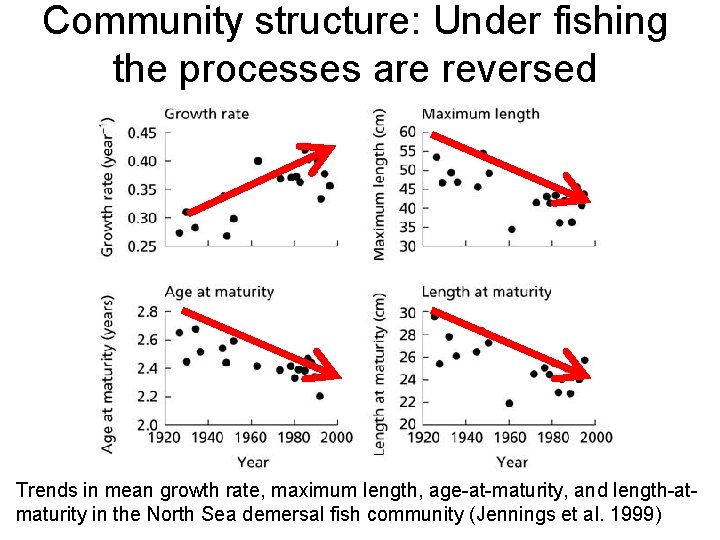 Community structure: Under fishing the processes are reversed Trends in mean growth rate, maximum