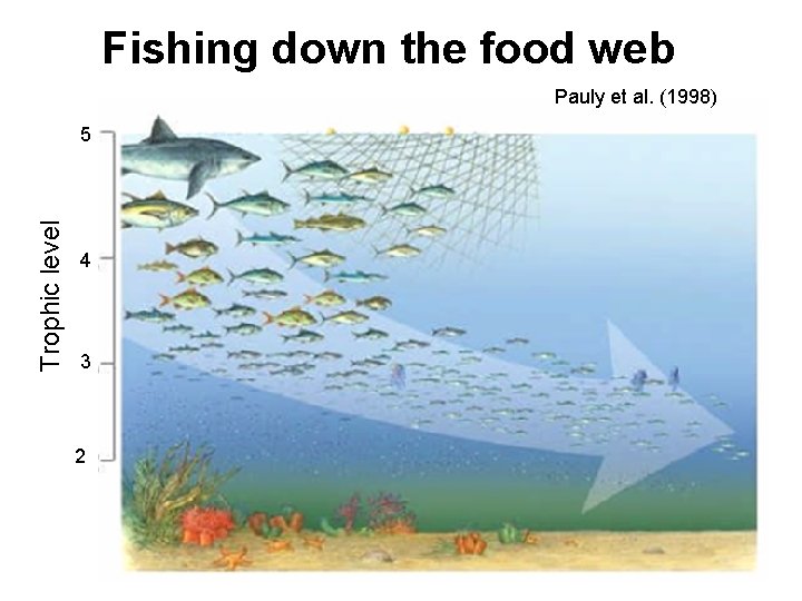 Fishing down the food web Pauly et al. (1998) Trophic level 5 4 3