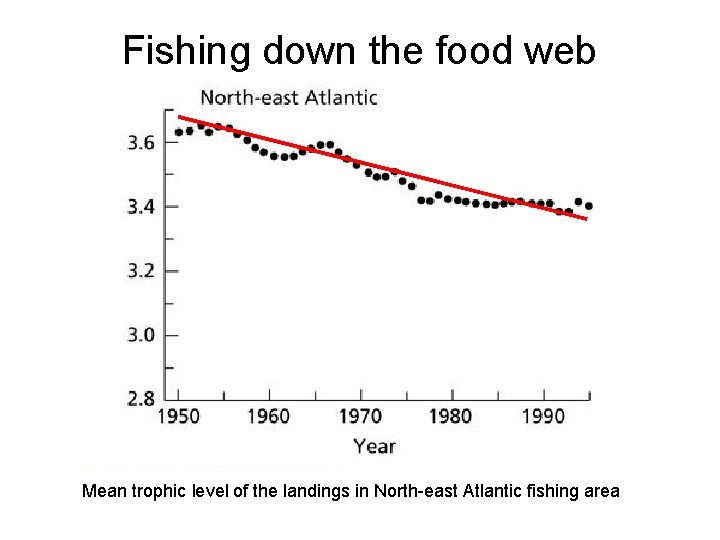 Fishing down the food web Mean trophic level of the landings in North-east Atlantic