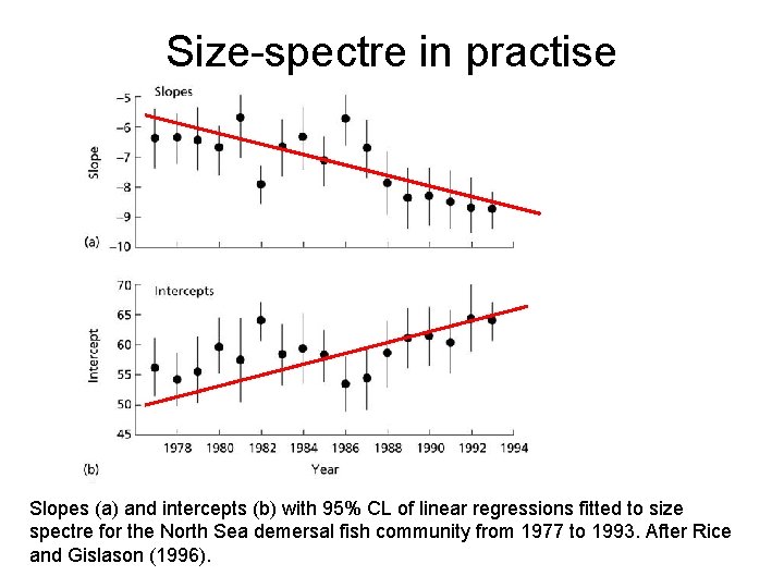 Size-spectre in practise Slopes (a) and intercepts (b) with 95% CL of linear regressions