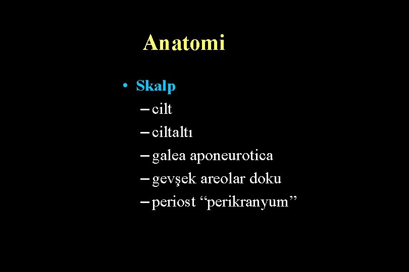 Anatomi • Skalp – ciltaltı – galea aponeurotica – gevşek areolar doku – periost