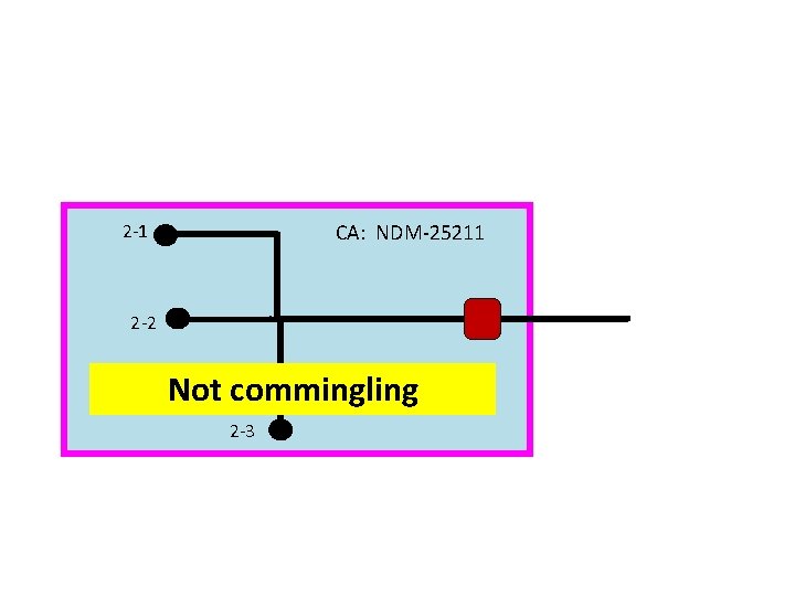 CA: NDM-25211 2 -2 Not commingling 2 -3 