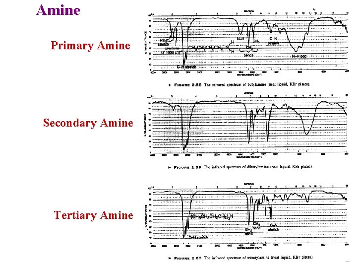 Amine Primary Amine Secondary Amine Tertiary Amine Amine Primary Amine Secondary Amine Tertiary Amine