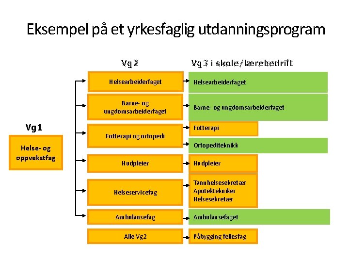 Eksempel på et yrkesfaglig utdanningsprogram Vg 2 Helsearbeiderfaget Barne- og ungdomsarbeiderfaget Vg 1 Helse-