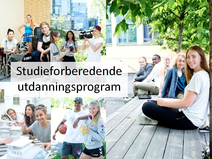 Studieforberedende utdanningsprogram 