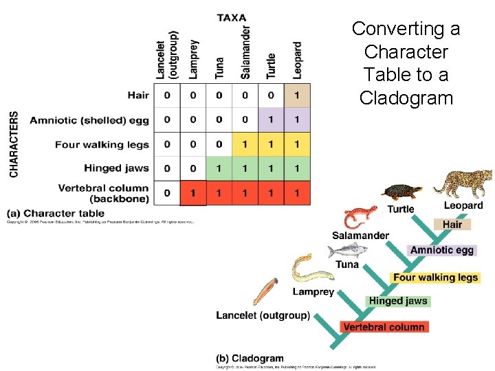 Converting a Character Table to a Cladogram 
