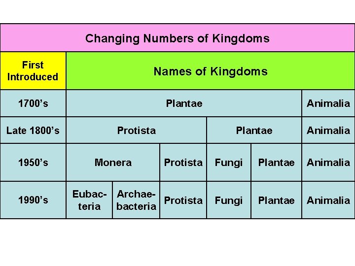 Changing Numbers of Kingdoms First Introduced Names of Kingdoms Plantae 1700’s Late 1800’s 1950’s