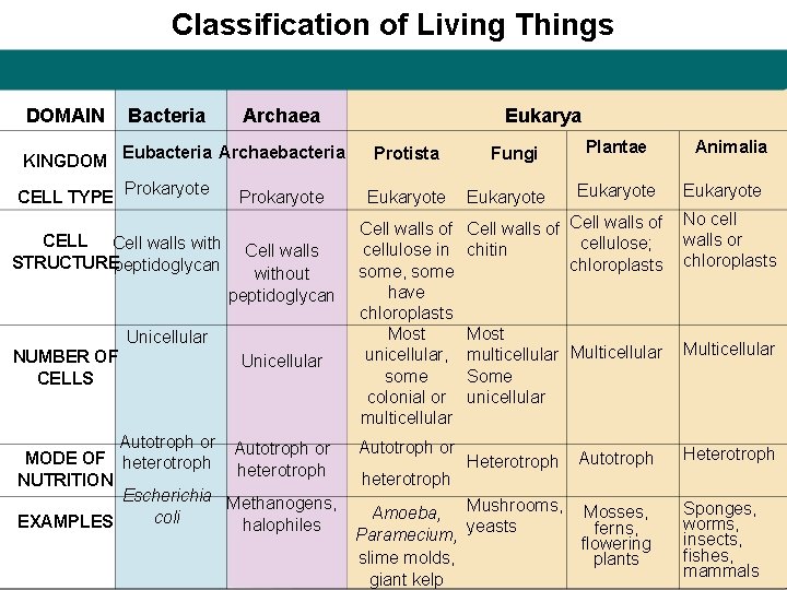 Classification of Living Things DOMAIN Bacteria KINGDOM Eubacteria Archaebacteria CELL TYPE Prokaryote CELL Cell