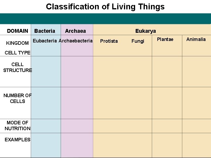 Classification of Living Things DOMAIN Bacteria Archaea KINGDOM Eubacteria Archaebacteria CELL TYPE CELL STRUCTURE