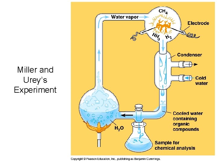 Miller and Urey’s Experiment 