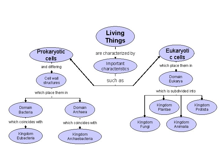Living Things Prokaryotic cells Eukaryoti c cells are characterized by and differing Cell wall