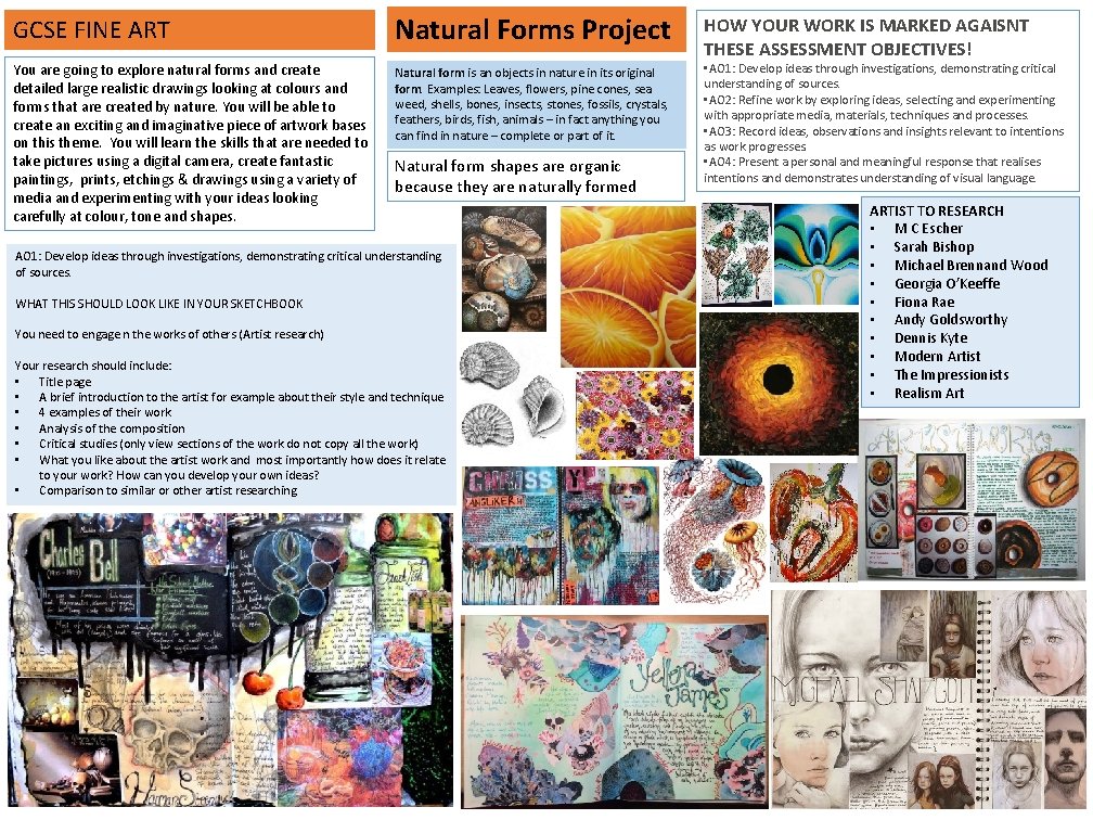 GCSE FINE ART Natural Forms Project You are going to explore natural forms and
