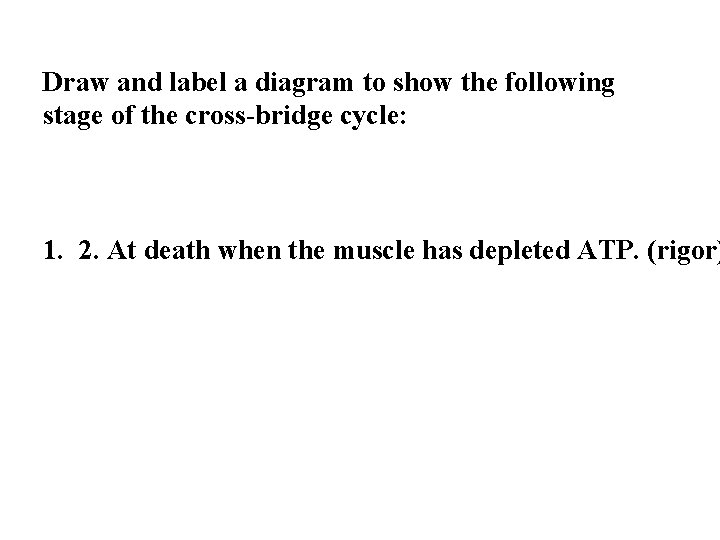 Draw and label a diagram to show the following stage of the cross-bridge cycle: