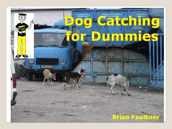 Dog Catching for Dummies Brian Faulkner 