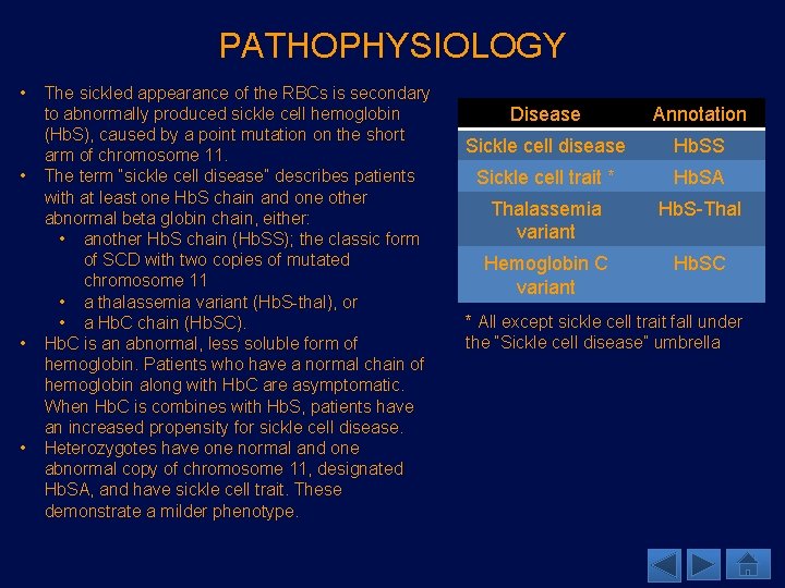 PATHOPHYSIOLOGY • • The sickled appearance of the RBCs is secondary to abnormally produced