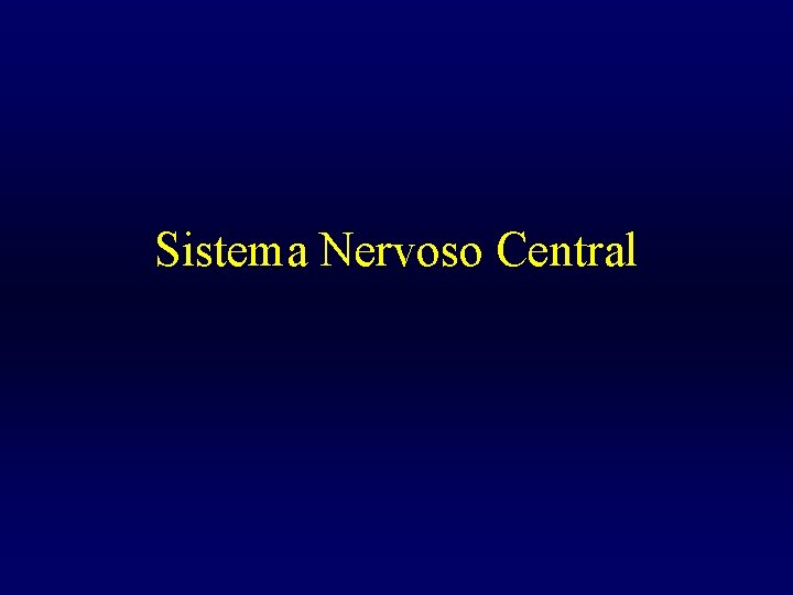 Sistema Nervoso Central 