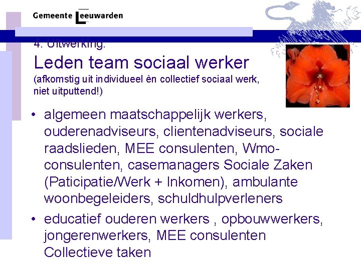 4. Uitwerking: Leden team sociaal werker (afkomstig uit individueel èn collectief sociaal werk, niet