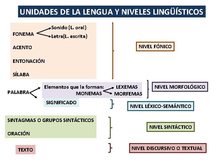 UNIDADES DE LA LENGUA Y NIVELES LINGÜÍSTICOS Sonido (L. oral) FONEMA Letra(L. escrita) NIVEL