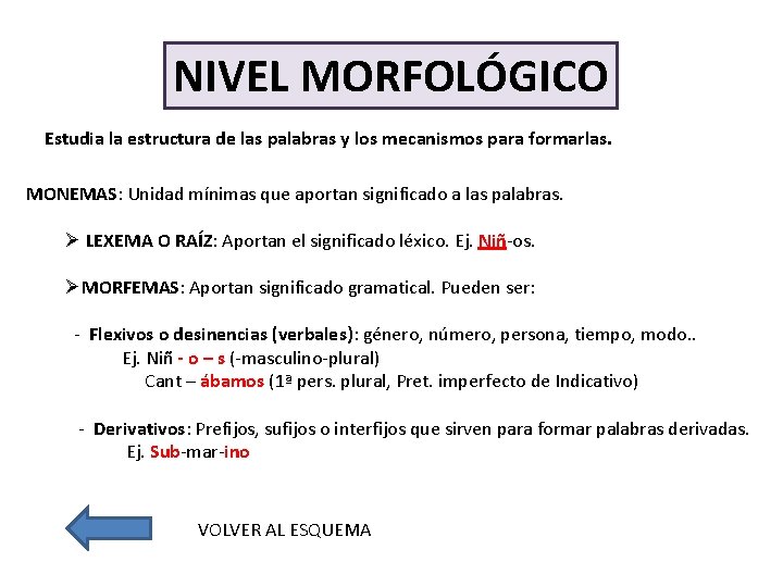 NIVEL MORFOLÓGICO Estudia la estructura de las palabras y los mecanismos para formarlas. MONEMAS: