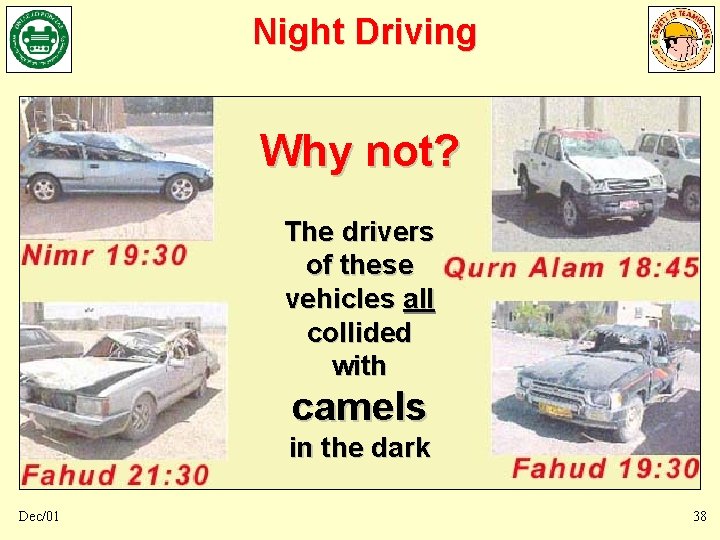 Night Driving Why not? The drivers of these vehicles all collided with camels in Night Driving Why not? The drivers of these vehicles all collided with camels in