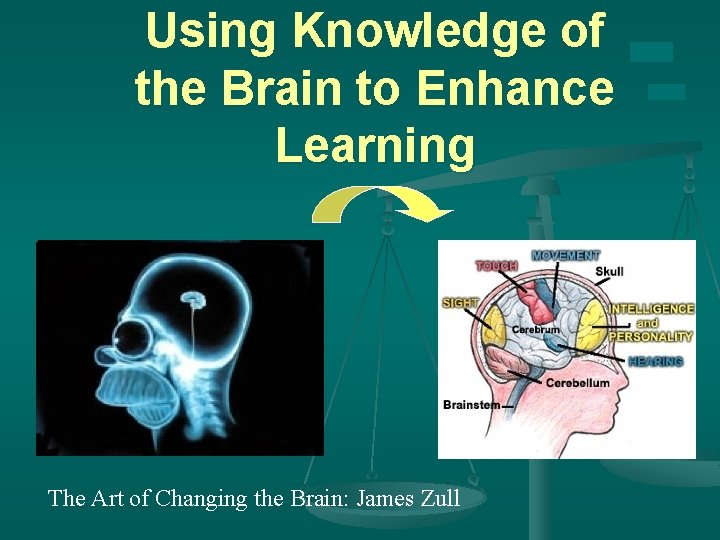 Using Knowledge of the Brain to Enhance Learning The Art of Changing the Brain: