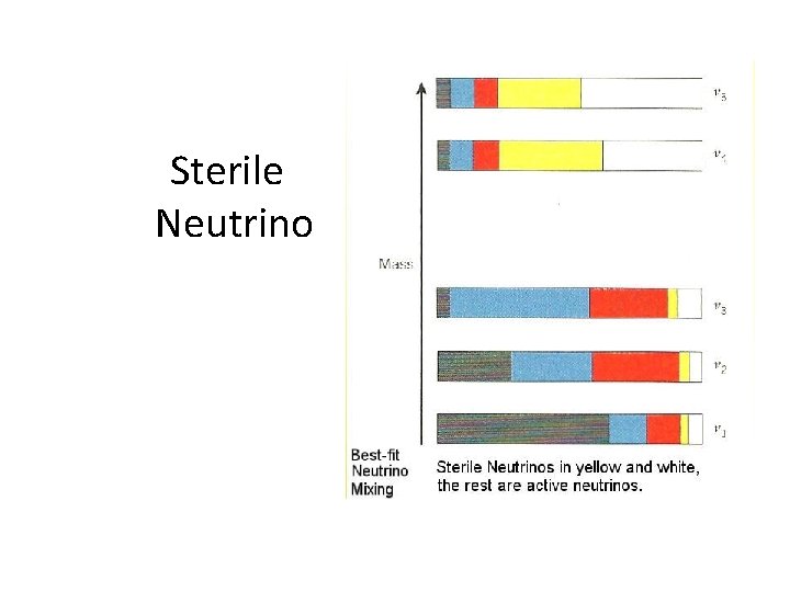 Sterile Neutrino 